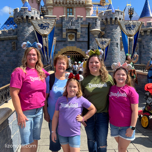 Shirts Seen at Disneyland Tour Guide