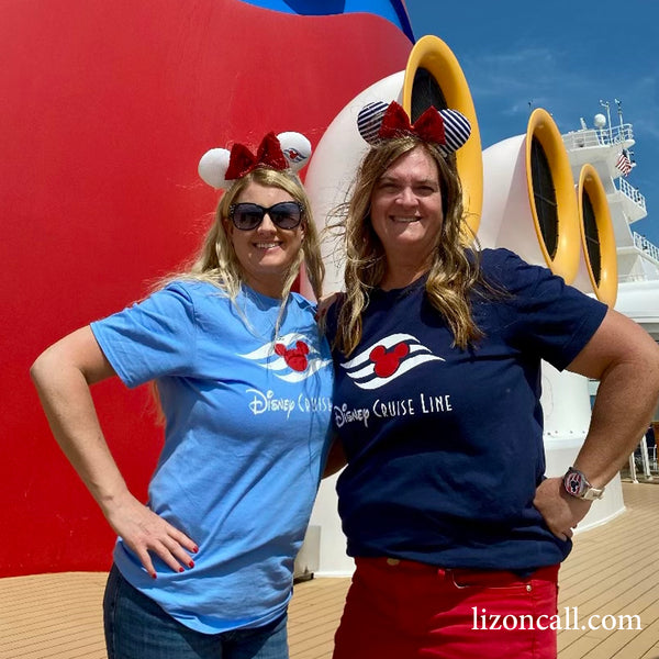 Shirts Seen at Disneyland Tour Guide