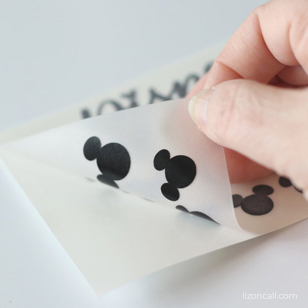 Disney Dollars Vinyl