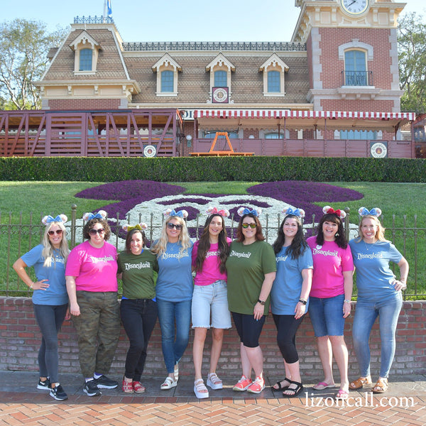 Shirts Seen at Disneyland Tour Guide